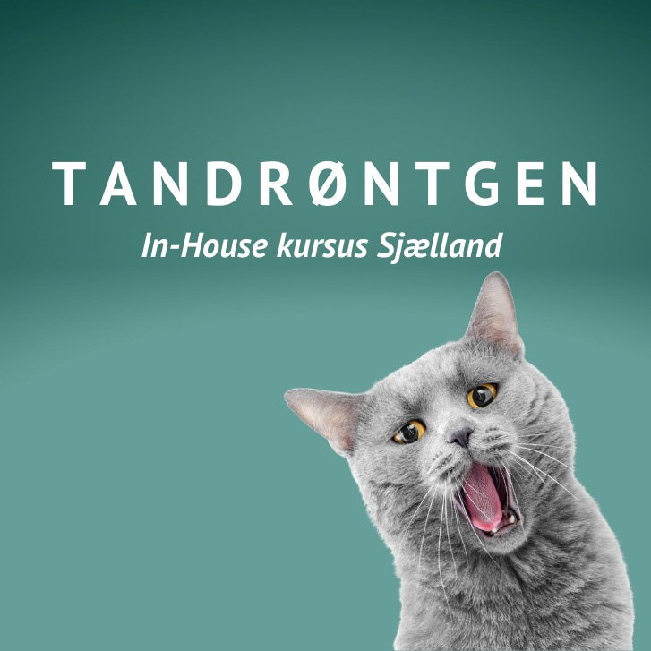 Dental røntgen in house kursus